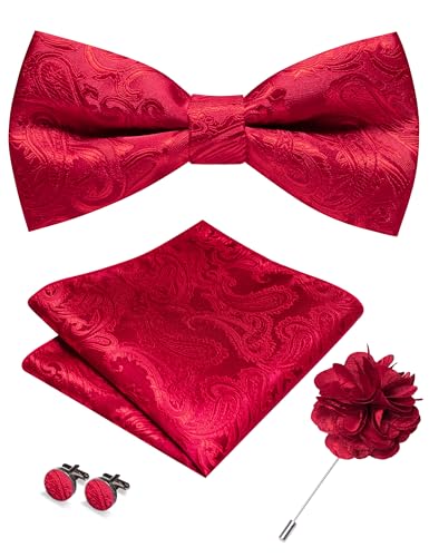 Image of RBOCOTT Paisley Bow Tie and Pocket Sqaure Set with Lapel Pin and Cufflinks for Men