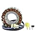 Stator For Kawasaki ZX-12R ZX12R 2000 2001 OEM Repl. # 21003-1351 21003-0010