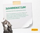 JOSERA Paté Ente & Huhn mit Petersilie (16 x 85 g) | Adult | Premium Nassfutter für ausgewachsene Katzen | Pastete Ente & Huhn | Lachsöl | getreidefrei | Katzenfutter nass im Frischebeutel |16er Pack