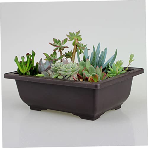 Pots d'entraînement aux bonsaï avec plateau plastique rectangulaire réutilisable - 5