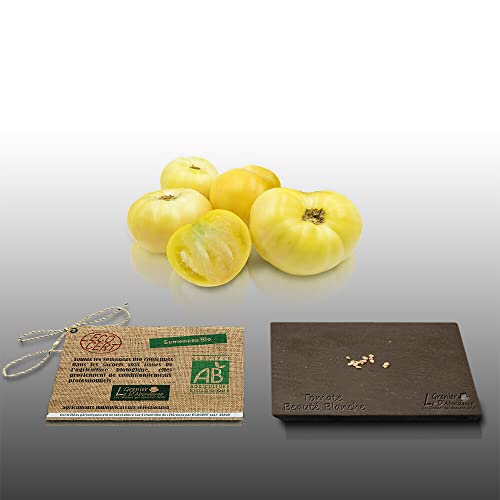 10 graines Bio à semer - Le Grenier d'Abondance - TOMATE Beauté Blanche - Certifié AB - Solanum lycopersicum