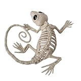 gibxiyza Halloween-Dekoration, Tier-Skelette, Mini-Skelett, Knochenstatuen, bewegliche Ratte, Hund, Spinne, Katze, Eule, Skelett, Figur für Spukhaus, Party, Dekoration, Halloween-Dekorationen, Außen-
