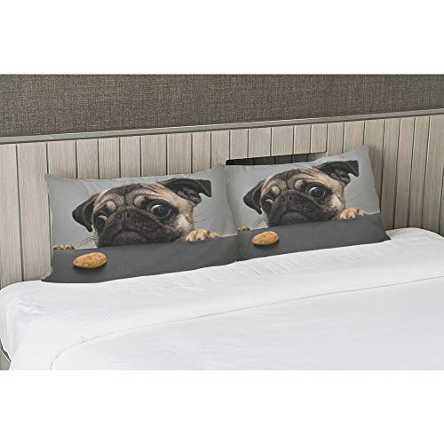 Ekobla Throw Pillow Cover Pug Dog Dog Lovely Animal Little Puppy Art Funny Pug Face Eyes Fashion Design Cookie Decor Lumbar Pillow Case Cushion For Sofa Couch Bed Standard Queen Size 20X30 Inch #TOP3
