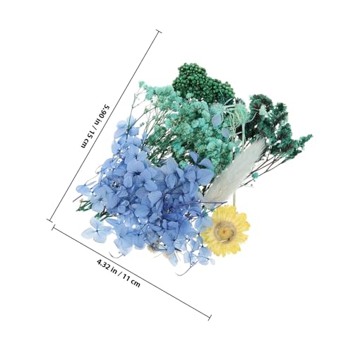 Flores prensadas naturales OSALADI para manualidades miniatura 2