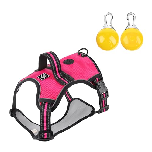 [COVANK]pn[lX hՌ 360x˃e[v eʃ|Pbgt bVf ċz Sd ^^^Ή p ԎU AEghAΉiJ[LO[j