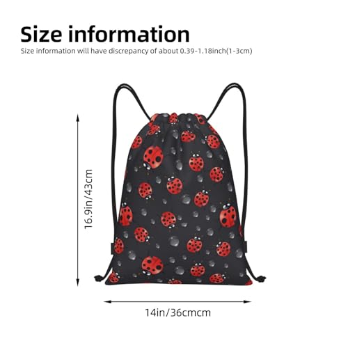 Cute Ladybugs Drawstring Backpack for Women Men Lightweight Sports Gym Sackpack Cinch Bag Water Resistant Draw String Bags for Hiking Yoga Swimming Travel Beach2