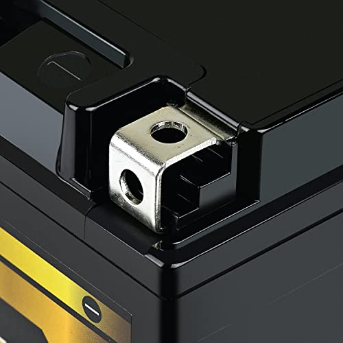 ExpertPower YTX14-BS 220 CCA Battery