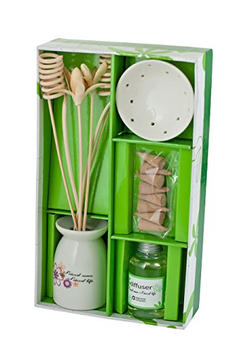 Set Difusor de Varillas 100 ml para Hogar y Oficina miniatura 1