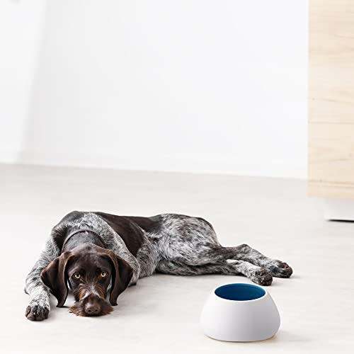 Navaris Design Futternapf aus Steingut - hoher Hundenapf - Fressnapf Futterschale - Napf für Cocker Spaniel Hund und langohrige Hunde - Langohrnapf