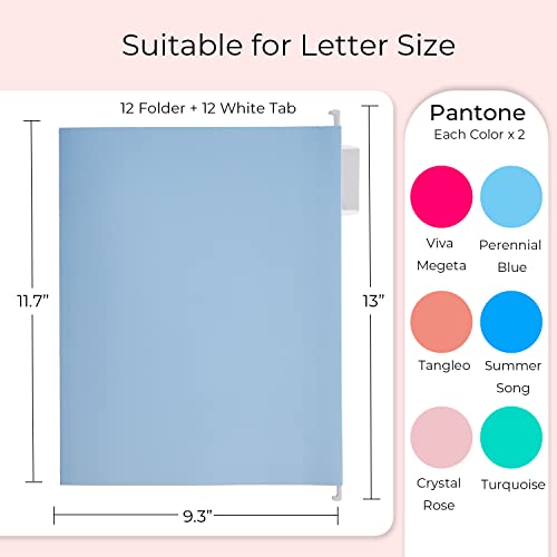 Y Yoma 12 Pack Colored Hanging File Folders Letter Size Decorative Hanging Folder Cute Pretty File Folder Organizer For Filing Cabinet Office Home With 1/5-Cut Adjustable Tabs, 6 Selected Color #TOP4