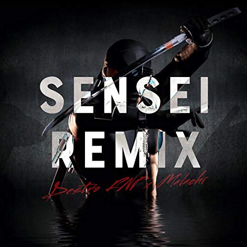 Sensei Remix (feat. Destro FNP) [Explicit]