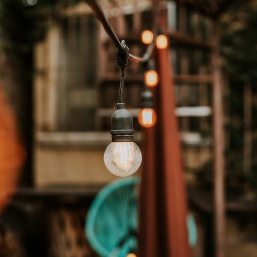 Image of Holibanna Glass Lamp Shade Replacement Design Indoor Light Cover for Pendant Lamps Unique Decorative Glass Fixture for Living Room Bedroom and Hallway