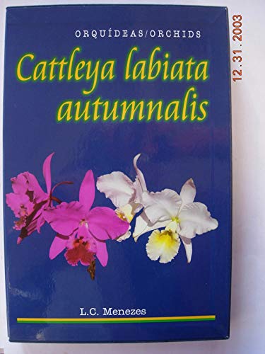 Cattleya Labiata Autumnalis: Orquideas / Orchids