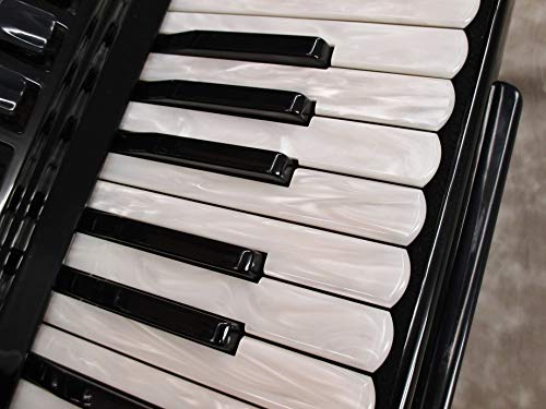 Amazon.co.jp: Excelsior 315 Accordion : Musical Instruments
