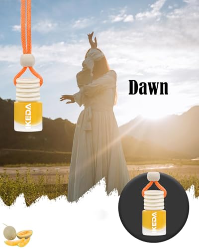 Image of ikeda fragrance Car Air Freshener, 2pcs 4ml Car Scents,45-Days Keep Fragrance,Automotive Hanging Diffuser Bottles,Remove Auto Odor Long-Lasting Fresh Air for Home Deodorizer (Glass, HA-MI-Malon)
