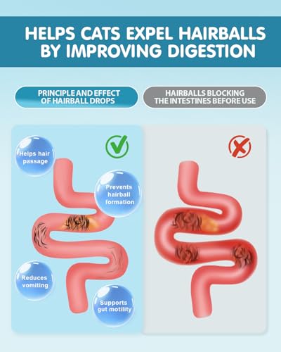 Anti-Haarball Katzen Tropfen - Katzen Haarballen AuflöSen, Darmflora Aufbauen, Haarspindelbehandlung für Katze mit Lysin, Faser, Vitaminen, für Verbesserte Verdauung und Gegen Haarausfall bei Katze