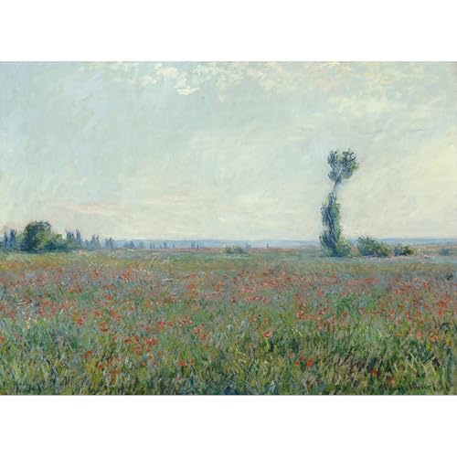 Toile Monet Champ de coquelicots aux couleurs durables pour intérieur moderne