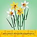 LEGO Daffodils - Building Toy for Kids, Girls and Boys, Ages 8+ - Birthday Gift for Kids - Artificial Daffodil for Bedroom Decor and Display - 40747