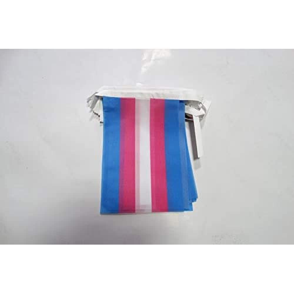 AZ FLAG Transgender Bunting 20 ft 20 flags Light Polyester