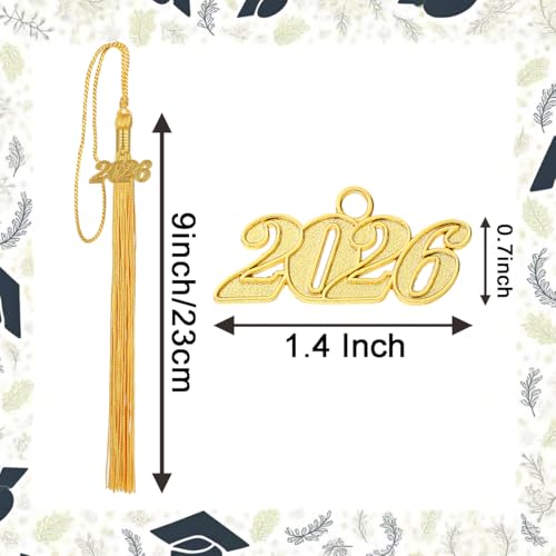 Image of 10 Pieces 2026 Graduation Tassels Bulk with Gold Year Charms for Graduation Cap Accessories (Gold)