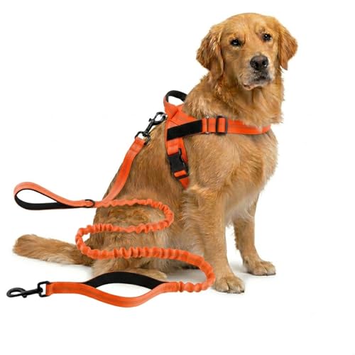 Veltrio Pettorina Cane Antitiro Regolabile, Set Complet 5-in-1 con Guinzaglio Elastico e Collare Catarifrangente, Pettorina Antitrazione per Cani Medi e Piccoli (Arancione,M)