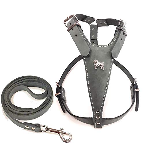 M&D Beautiful Grey Leather Dog Harness and Leash with Pug Head Motif and Matching Leather Lead