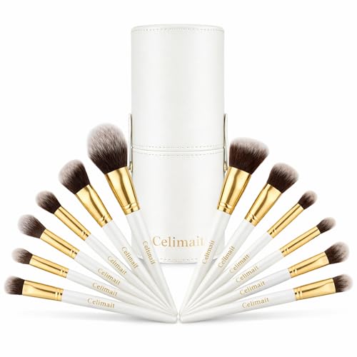 12 Piece Makeup Brushes Set with Case