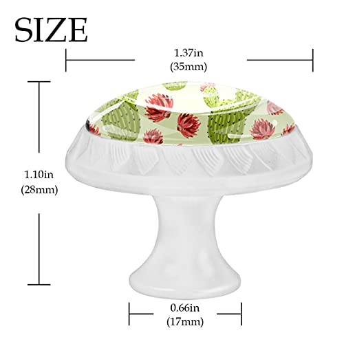 Boutons armoires cuisine cactus vert et rouge de meuble - 5