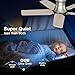 POCHFAN 42 Inch Ceiling Fans with Lights and Remote, Brushed Nickel Flush Mount Low Profile Ceiling Fan for Bedroom, Living Room, Patio, Dimmable 6 Speeds Noiseless Reversible, ETL Listed