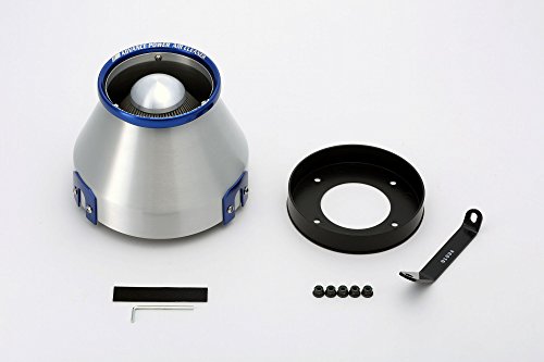 BLITZ(ブリッツ) ADVANCE POWER AIR CLEANER(アドバンスパワーエアクリーナー) シルビア S14/S15 42029