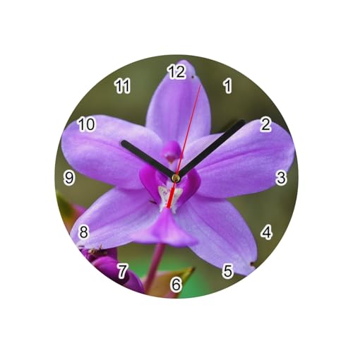Fabulous Horloge Murale en Verre - Macro Orchidée Violette Fleur Sauvage Montagne - Diamètre 20 cm - Blanc