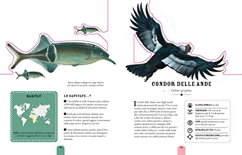 Il Fantastico Mondo Degli Animali. Ediz. A Colori - 4