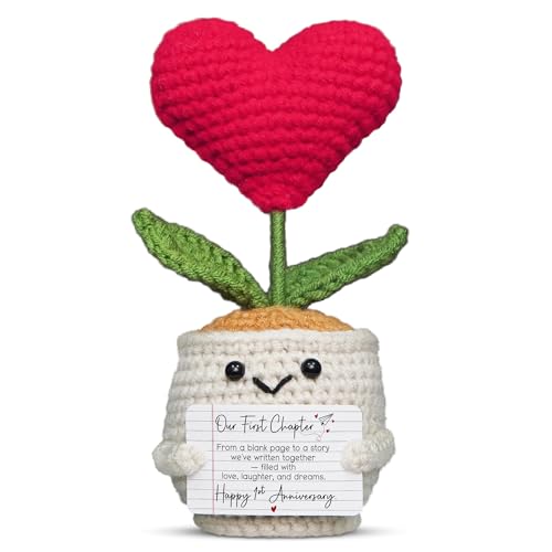 OASSIE Valentines Day Gifts for Her Girlfriend - Heart Flower Pot Crochet with Card -...