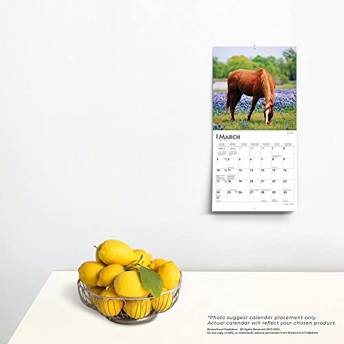 Browntrout 9781975463090 Horse Lovers | 2024 7 X 7 Inch Monthly Mini Wall Calendar thumb #3