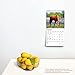Horse Lovers | 2024 7 x 7 Inch Monthly Mini Wall Calendar | BrownTrout | Animals Equestrian