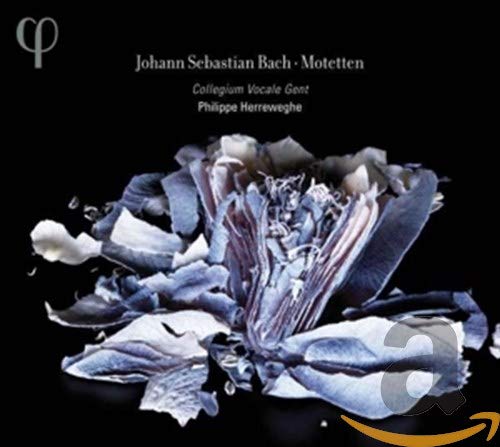 Motets BWV 225-230