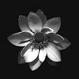 Key to Life (Ambassadeurs Remix)