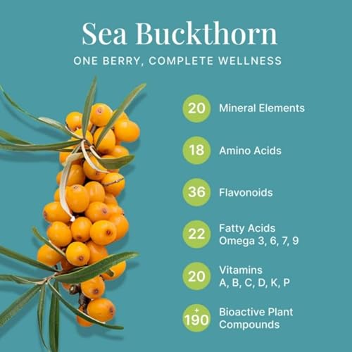 CONSA Organic Sea Buckthorn Berry Powder (200 Gram) - 100% Pure Sea Buckthorn Powder - Source of Various Vitamins & Minerals