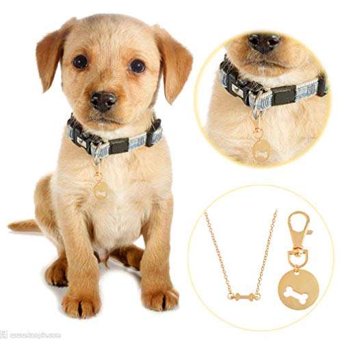 dog human bff necklace
