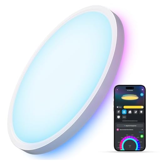 Smart RGBIC LED Ceiling Light Fixture