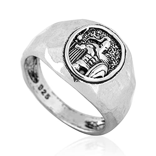 Akitsune Spartan Ring | Damen Herren Edelstahl Ring Herren Krieger Helm Nordisch Sagen 300 Viking Designer Silber - US 11 Cover