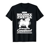 Bolonka Zwetna Hunde