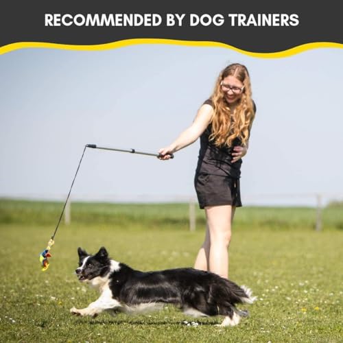 YES4QUALITY Flirt Pole for Dogs with Safe & Strong Non-Bungee Cord, Telescopic Lure Stick for Dogs of Any Size - Image 2