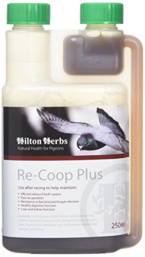 Hilton Herbs 27012 Re-Coop Plus-Supports Pigeon Post Race Recovery Bottle, 0.5 Pint