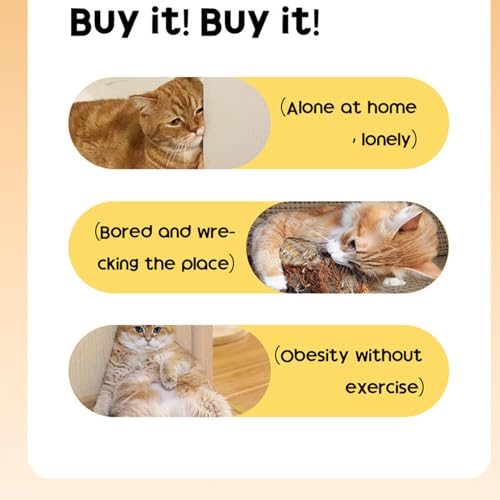 Entraînement chatons aliments frits et jouet interactif pour chat