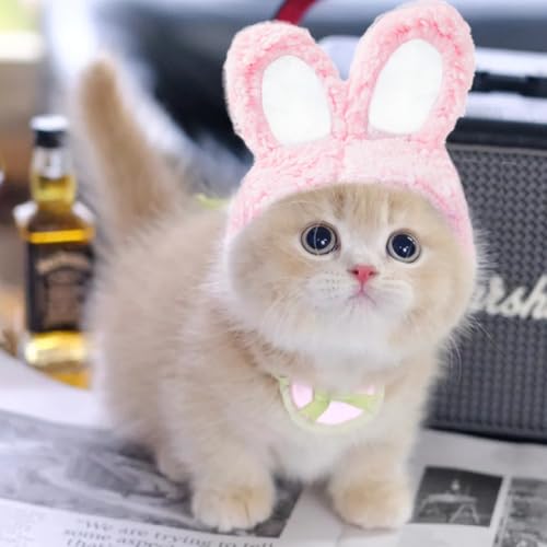 2 Stück Rosa Und Weiß Katze Hasenohren, Hasenohren Hund, Cat Hasenhut, Katzenbekleidung, Haustierhut, Osterkostüm Für Katzen Und Kleine Hunde