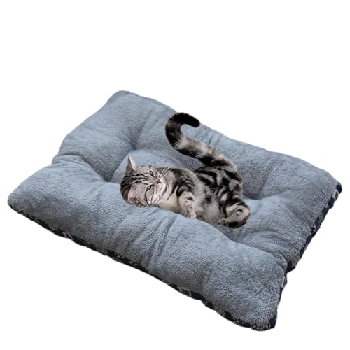 N[gphbOxbh | mXbv{gtEHbVuhbONbVybgxbh - pbh pL܂͏^AqAqLp̍؂Ȏqpxbh