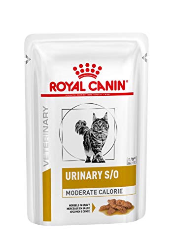 Royal Canin Urinary S/O Moderate Calorie Nourriture pour Chat 12 x 100 g