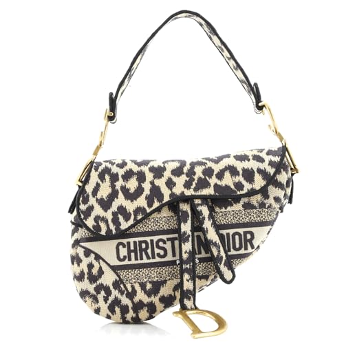 Dior Mizza Embroidered Saddle Bag
