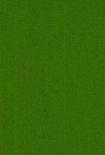 エスケント 色画用紙 ミューズコットン 厚口 八切 みどり 100枚 41080005